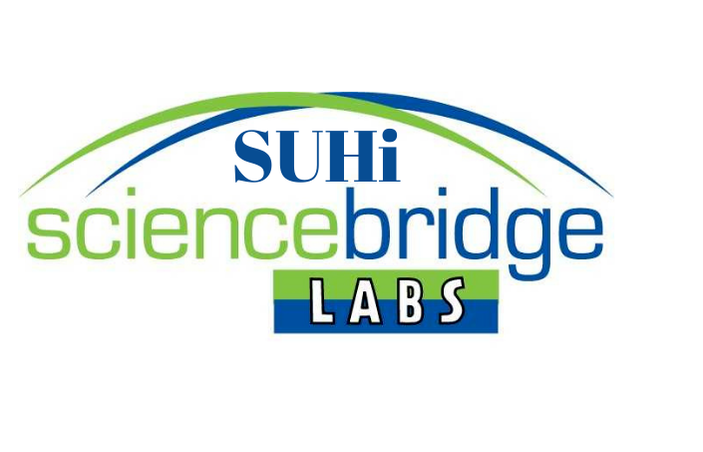 Image of ScienceBridgeLabs block logo that is green and blue
